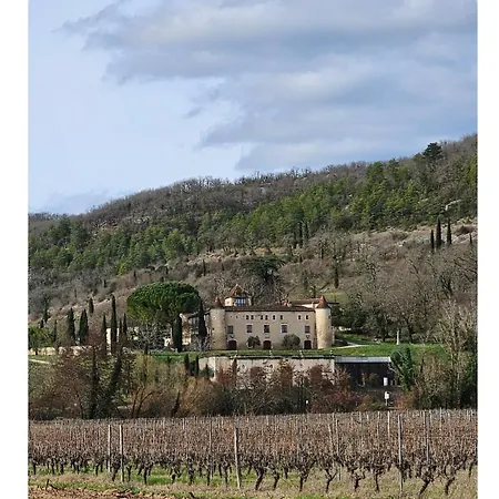 Maison Au Coeur Du Vignoble *